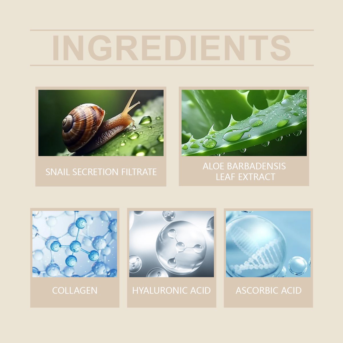 Nuvelia Snail Mucin Repair Serum — product detail view 5
